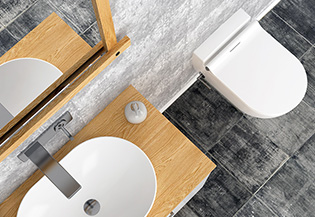 Ceramic Sanitary Ware